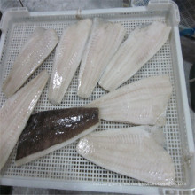 Gaishi mariscos congelados al por mayor flecha congelada filete de pescado lenguado filete de lenguado para el sushi japonés comida sashimi